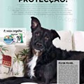 animais eci 28 maio a 11 junho p2.jpg